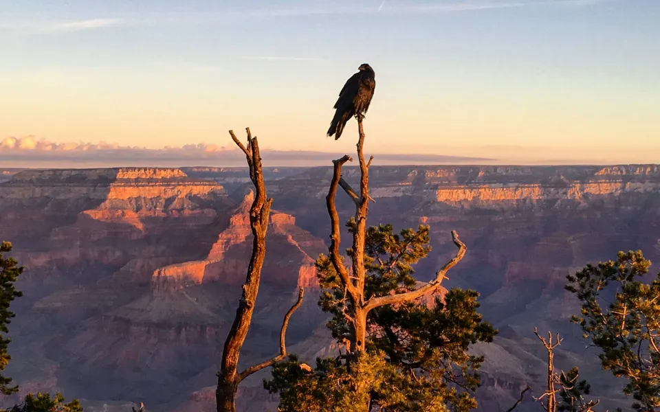 Arizona stage Amerika