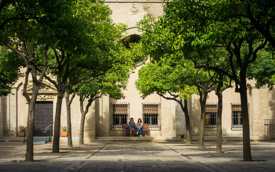 Sevilla stage Spanje 1