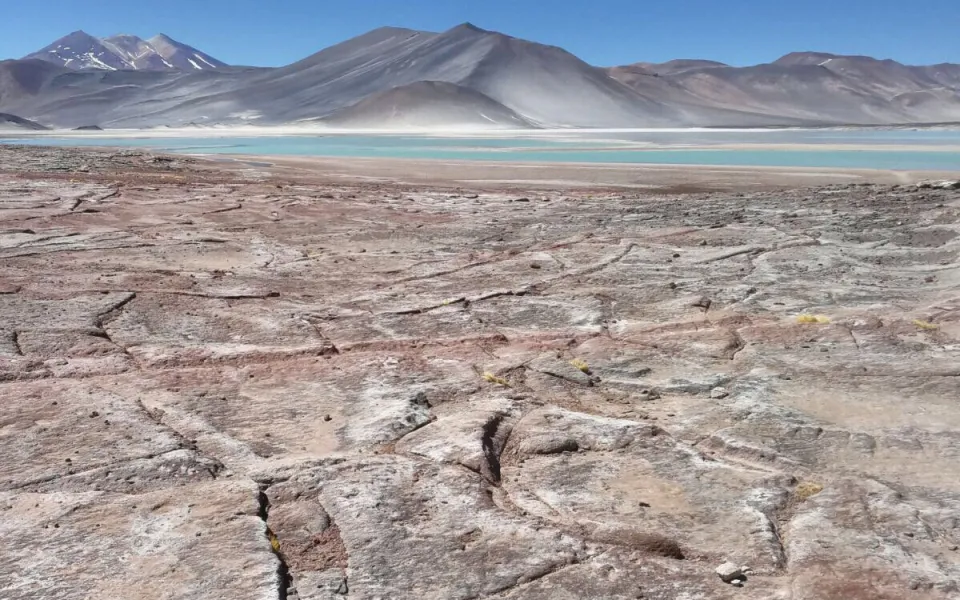 Jan-Jelle tijdens zijn stage in Chilli 3
