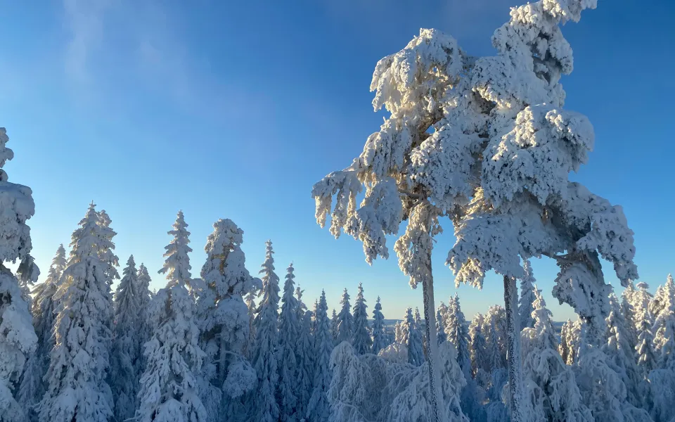 Boras stage in Zweden