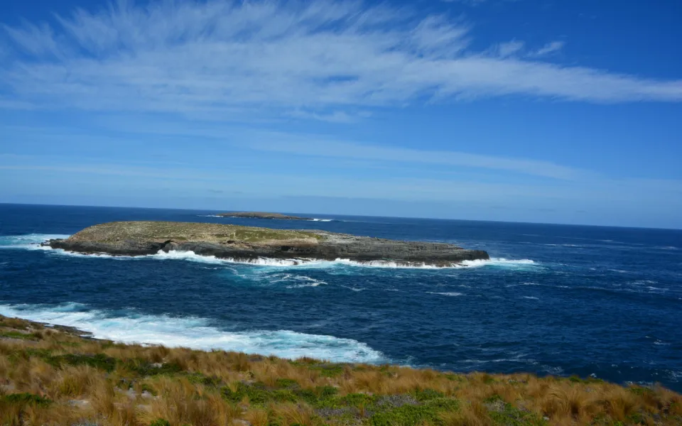 Stage in Australie, Jacqueline