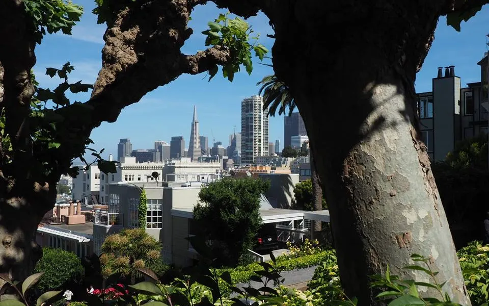 Katharina tijdens haar stage in San Francisco! 4