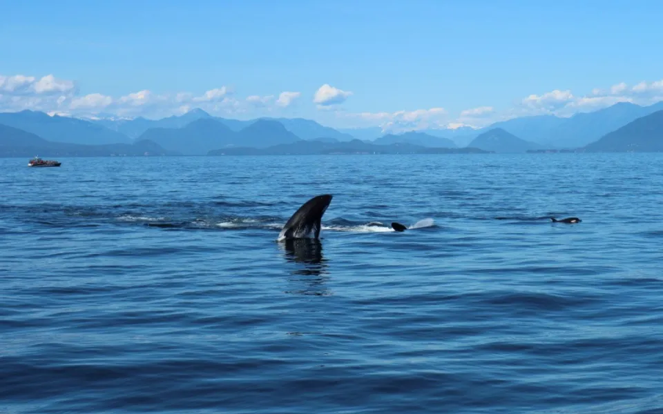 Maud tijdens haar stage in Vancouver, deel 2!