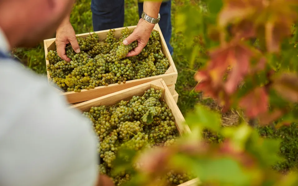 Huisvesting stage Frankrijk