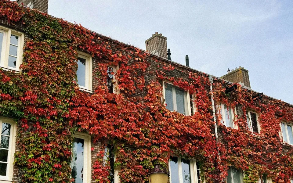 Huisvesting stage Ierland