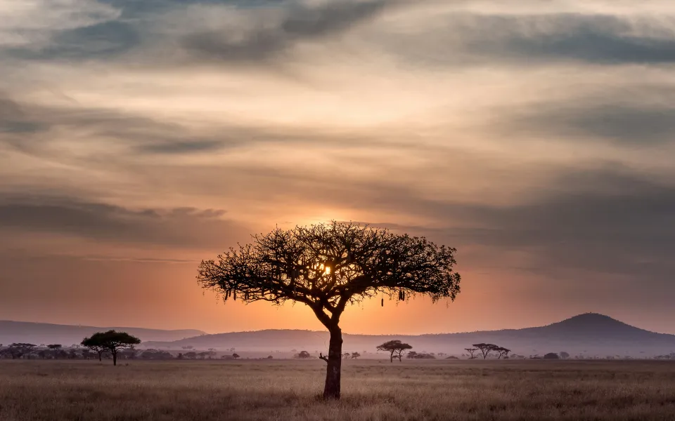 Kosten stage Zuid-Afrika