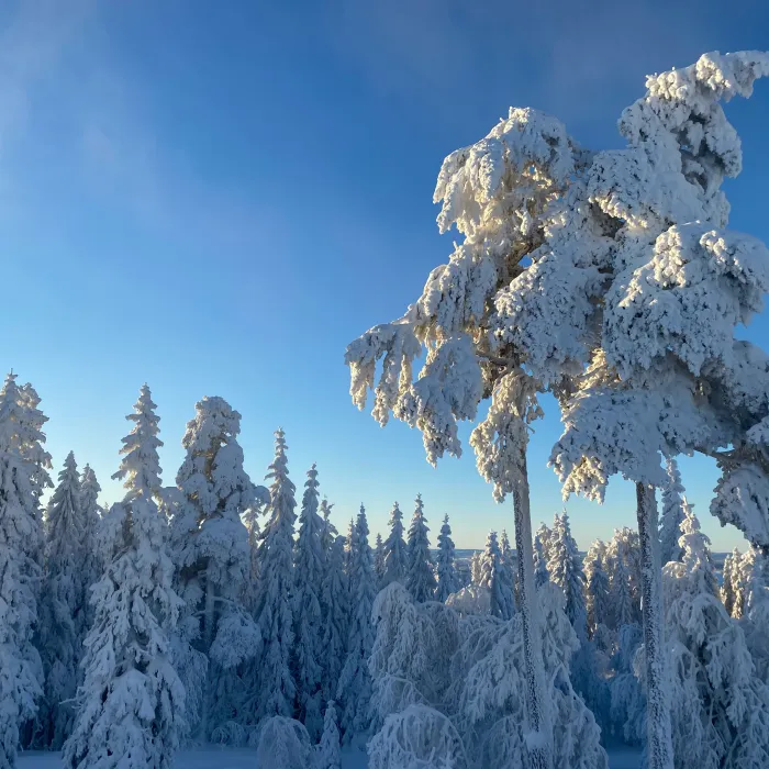 Boras stage in Zweden