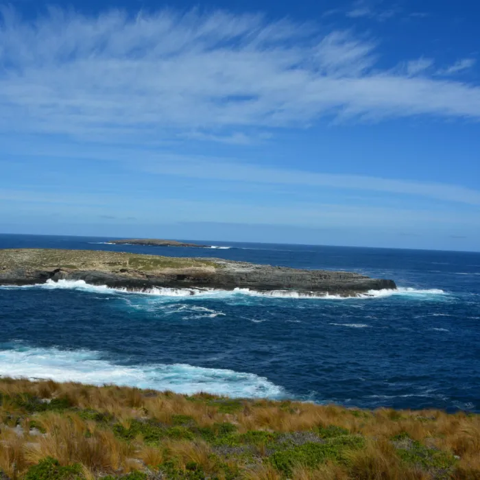 Stage in Australie, Jacqueline